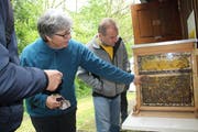Johanna Seiterle und Christoph Füchslin, der Imker vom Lehrbienenstand, zeigen den Besuchern, wie das Zusammenleben im Bienenstaat funktioniert. (Bild: Trudi Krieg)