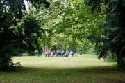 Alte Bäume machen den Schlosspark in Gottlieben zu einem wertvollen Biotop. (Bild: Inka Grabowsyk)
