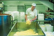 Walter Grob bei der Produktion von «Cheese-Curds». Die Streifen aus jungem Käse stehen am Anfang der Cheddar-Produktion. (Bild: Dominik Wunderli, Engelberg, 25. April 2019)