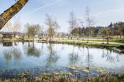 Impressionen vom Kundelfingerhof. (Bild: Andrea Stalder)