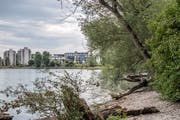 Das Reka-Dorf Kreuzlingen wird nah ans Wasser gebaut. (Bild: Thi My Lien Nguyen)