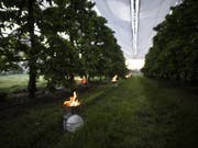 Brennende Frostkerzen in der Kirschenplantage der Familie Bär, aufgenommen am Dienstag in Opfershofen im Kanton Thurgau. Die vergangenen Nächte brachten für die Jahreszeit ungewöhnlich tiefe Temperaturen und gefährdeten damit die Ernte von Bauern. (Bild: Keystone/GIAN EHRENZELLER)