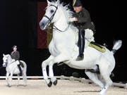 Reiter der spanischen Hofreitschule Wien zeigen ihre Dressurkunst. (Bild: KEYSTONE/AP/FRANKA BRUNS)
