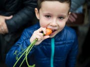 Gemüse steht bei Kindern oft nicht besonders hoch im Kurs. Forschende haben untersucht, wie man Kinder auch bei eher ungeliebten Nahrungsmitteln zum Zugreifen bewegt. (Bild: KEYSTONE/GIAN EHRENZELLER)