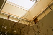 Die Schmutzspuren am Dachfenster im Savannenhaus. (Bild: David Grob (25. April 2019))