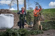 Köhlerin Doris Wicki und Fotograf Simon Meyer, der während der Köhler-Woche im Haus zum Dolder seine Bilder zeigt. (Bild: Boris Bürgisser, Beromünster, 9. Mai 2019)