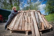Die Entlebucherin Doris Wicki baut während der Köhlerwoche in Beromünster einen Meiler auf. (Bild: Boris Bürgisser, 9. Mai 2019)