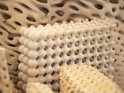 So ähnlich könnten die Strukturen dereinst aussehen, an denen ETH-Forschende zum Wiederaufbau von Korallenriffen arbeiten. (Bild: ETH Zürich/Peter Rüegg)