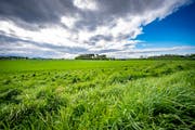 Das Gossauer Gewerbe wartet bereits seit Jahren darauf, dass im Gebiet Sommerau gebaut wird. (Bild: Urs Bucher (9. Mai 2019))