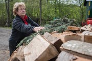 Auf die Holzschicht verteilt Köhlerin Doris Wicki Tannenreisig. (Bild: Boris Bürgisser, Beromünster, 9. Mai 2019)