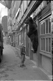 1962 hing für kurze Zeit eine tote Bärin vor dem Restaurant Untergrund. Das Tier stammte aus dem Basler Zoo und wurde später den Restaurantgästen serviert. (Bild: Lisa Meyerlist/Staatsarchiv)