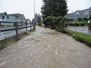 Der Dorfbach in Zuzwil ist nicht auf Hochwasser ausgelegt, eine Sanierung ist nötig. (Bild: PD)