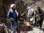 Eine Gruppe von Taliban-Kämpfern in der westafghanischen Provinz Herat (Aufnahme vom Mai 2016). (Bild: KEYSTONE/AP/ALLAUDDIN KHAN)