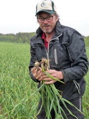 Bio-Gemüsebauer Peter Aschmann. (Bild: Silvia Schaub)