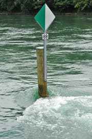 Gefahr im Wasser: Wiffen. (Archivbild: Susann Basler)
