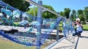 Ein Blickfang und beliebtes Fotosujet auf dem Arboner Strickweg: Fische zappen beim Schlosshafen im Netz. (Bild: Max Eichenberger)