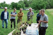 Wildblumenspezialist Johannes Burri taucht mit seinen Gästen voll und ganz in die Welt der Zeigerpflanzen ein. (Bilder: Bilder: Christine Gregorin)