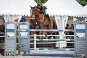 Elian Baumann auf Campari auf dem Weg zum Sieg in der Championatsprüfung über 155 Zentimeter. (Bild: Katja Stuppia (Zug, 10. Juni 2019))