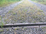 Sehr problematisch: Über den Kiesweg, der mit Herbizid behandelt wurde, führt ein direkter Wasserabfluss. (Bild: PD)