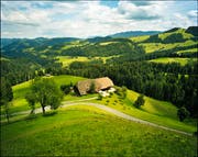 Die liebliche Landschaft sorgt für entspannte Picknickmomente. Der gefüllte Picknick-korb ist beim Flying Eidgenoss dabei.