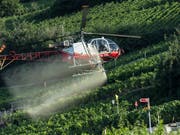 Pestizide mit den Wirkstoffen Chlorpyrifos und Chlorpyrifos-methyl sollen künftig in der Landwirtschaft nicht mehr verwendet werden dürfen. (Bild: KEYSTONE/ALESSANDRO DELLA VALLE)