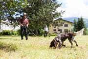 Noldi Odermatt (links) übt mit der jungen Hündin Faya hinter dem Winkelriedhaus Stans die «Nachsuche», das Aufspüren von schwer verwundetem Wild. Im Hintergrund beobachten Kurt Würsch und Bora das Geschehen. Bilder: Jakob Ineichen (Stans, 12. Juni 2019)