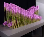 Die Abschlussarbeit «Hinfallen und wieder Aufstehen», dargestellt mit 450 Liatris-Blumen. (Bild: PD)