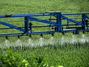Bayer hält an der Produktion von Glyphosat fest, will aber zugleich Milliarden in die Entwicklung von Alternativen investieren. (Bild: KEYSTONE/EPA/SASCHA STEINBACH)