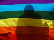 Das Oberste Gericht Brasiliens hat Homophobie offiziell als Verbrechen eingestuft. (Bild: KEYSTONE/AP/BEN CURTIS)