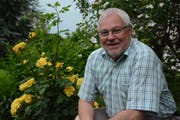 OK-Präsident Bernhard Bischof neben der Duftrose «Glückskette», einer Züchtung von Richard Huber aus Dottikon. (Bild: Georg Stelzner)