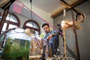 Pablo Walser räumt im Zeughaus Teufen sein Aquarium aus – seine «Wunderkammer» mit lebendem Krebs. (Bild: Adriana Ortiz Cardozo)