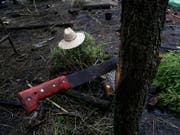 Machete, wie sie bei Farmarbeiten in Mexiko verwendet wird. (Bild: KEYSTONE/AP/MARCO UGARTE)