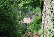 Im Rathaus finden die Gemeinderatssitzungen statt. Zum Gemeinderat gehört in der Einheitsgemeinde Sevelen automatisch auch die Präsidentin oder der Präsident des Schulrates.