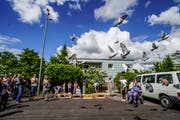 Die Brieftauben von Daniel und Paul Stump starten in den Sirnacher Himmel. (Bild: Maya Heizmann)