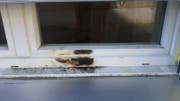 Das verkohlte Fenster. (Bild: PD)