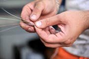 Glasfaserkabel in Reparatur: Die beiden intakten Seiten werden in eine Muffe gesteckt, wo sie dann mit neuem Material verbunden werden. (Bild: Reto Martin)