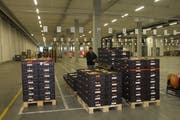 Gegen 16 Uhr treffen die ersten regionalen Frischprodukte in Schwarzenbach ein. (Bilder: Daniela Huijser)