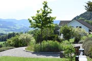Die Bepflanzung des Gemeinschaftsgrabes auf dem Oberhelfenschwiler Friedhof bietet ausreichend Nahrung für zahllose Insekten. (Bild: Urs M. Hemm)