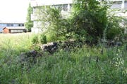 Hinter dem Wattwiler Gemeindehaus bietet ein Steinhaufen Lebensraum für Eidechsen. (Bild: Urs M. Hemm)