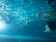 Grund für die Beschwerden war laut Polizei eine erhöhte Chlorkonzentration im Wasser des Schwimmbads. (Bild: KEYSTONE/GAETAN BALLY)
