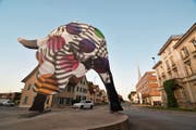 Der Stier im Kreisel Weinfelder-/Alleestrasse hat ein neues Gewand: Polka Dots heissen diese Punkte in der Textilindustrie. (Bild: Manuel Nagel)