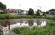 Der Heerweiher, ein Relikt der Textilindustrie, liegt mitten im Siedlungsgebiet von Oberuzwil. (Bild: Philipp Stutz)