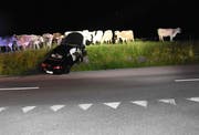Das Auto kam in einer Böschung zum Stillstand und beleuchte eine Herde Kühe. (Bild: Kapo)