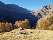 Eine weitgehend intakte Natur, wertvolle Landschaften und ein kulturelles Erbe kennzeichnen den geplanten Parco Val Calanca in Südbünden. (Bild: Staka GR)