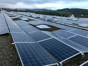Die Solaranlage auf dem Dach der Holenstein AG ist eine der grössten im Kanton St. Gallen. (Bild: Andrea Häusler)