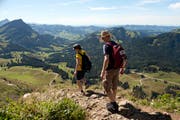 Berggängern stehen diverse Apps zur Planung und Durchführung von Touren zur Verfügung. (Bild: Urs Jaudas)