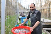 Christoph Mehr, kantonaler Fischereiaufseher. (Bild: Sabine Camedda)