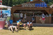 Der Swissmilk-Stand im Sittertobel. (Bild: Adriana Ortiz Cardozo)