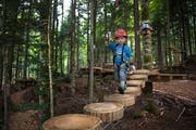 Angenehme Temperatur - das gibt es auch im Seilpark Stöckalp. (Bild: Corinne Glanzmann, 11. Juli 2017)