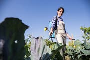 Auch als Hobbygärtner kommt man in der Schweiz zu sehr potenten Pestiziden.Symbolbild: Getty